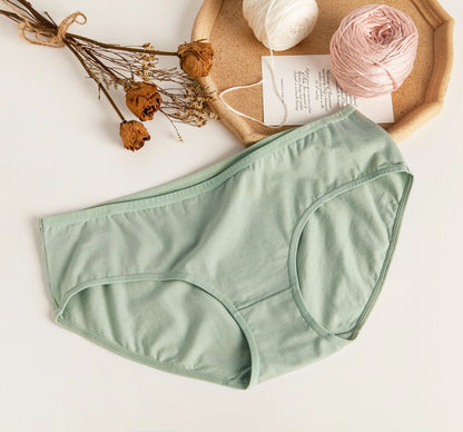 10pcs Hipster Panties Women's Cotton Underwear XS- XXL
