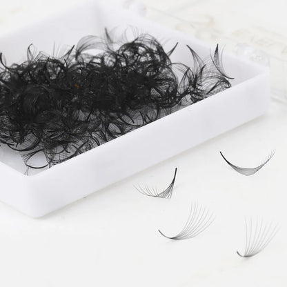 10D 1000 Premade Fan CD Curl Pointed Base Lashes Loose Premade Volume Lashes