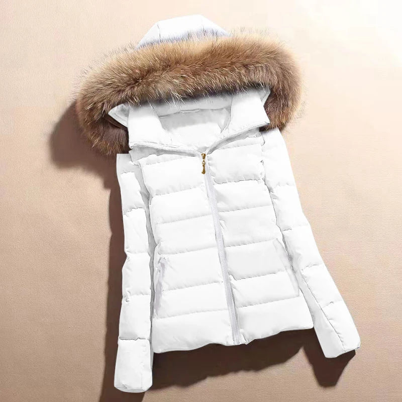 Parkas Short Coat Cotton Down Jackets Slim Casual Thick Warm Hooded Zippers Outerwear