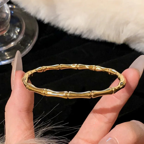 Titanium Steel Bracelet in Stainless Steel Inlaid with Zircon, Gold Plated 