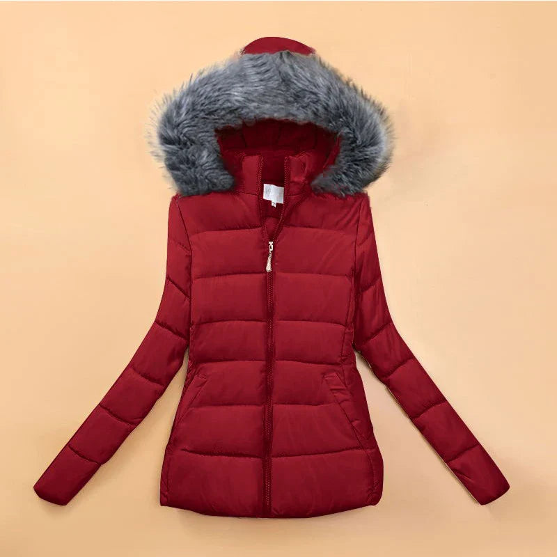 Parkas Short Coat Cotton Down Jackets Slim Casual Thick Warm Hooded Zippers Outerwear