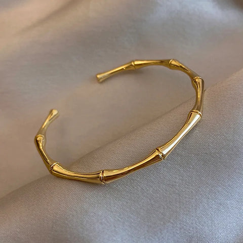 Titanium Steel Bracelet in Stainless Steel Inlaid with Zircon, Gold Plated 
