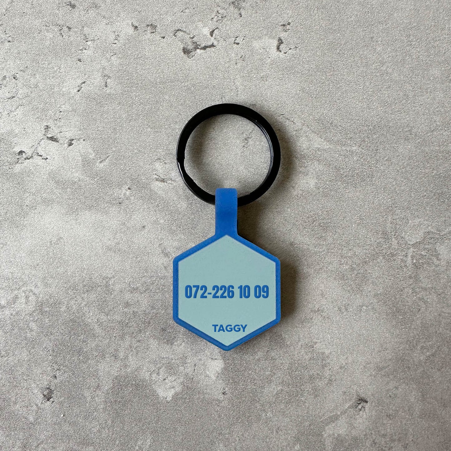 Blue dog name tag - Font Tea