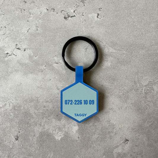 Blue dog name tag - Font Tea